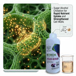 Improves fruit size, sweetness, and overall quality with efficient boron absorption using sugar alcohol chelation."