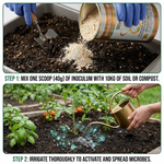 Promotes stronger root systems by improving root growth and supporting overall plant development.
