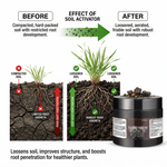 Soil Activator & Conditioner designed to improve texture and fertility in flower pots, promoting vibrant, healthy blooms.