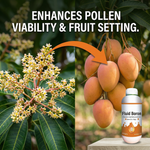 Liquid Boron Fertilizer boosts flowering and fruit set, promoting higher yield and better crop quality