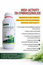 28-Epibrassinolide Plant Growth Regulator liquid improves plant growth and increases yield in a wide range of crops.