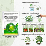 0.01% 24-Epibrassinolide solution enhancing fruit crop growth and plant vitality.