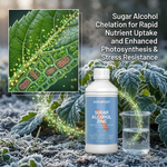 Liquid chelated zinc ensures quick absorption through foliar spray for rapid plant response.