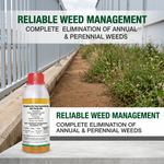 Quickly absorbed through foliage and transported to roots for full plant elimination.