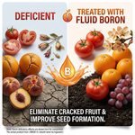 The fast-absorbing formula of Liquid Boron Fertilizer ensures immediate effectiveness for quick plant health improvement.