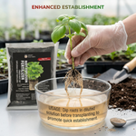 Bio-Activator Root Fertilizer supporting rapid vegetative growth and improving overall plant vigor for better yields.