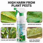 flower and rose plant insecticide spray for mosquito and bug control at home