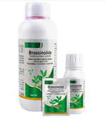 flowering and fruit power pack with plant growth regulators fertilizers and seaweed extract for improved crop yield