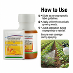 Flumiclorac-Pentyl 10% EC herbicide for targeted weed control in post-emergence crop stages, ensuring healthy growth.