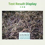 Powerful herbicide mix controlling alligator weed and other broadleaf weeds in crop fields.