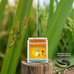 Chlorpyrifos-Methyl’s vapors also target pests hidden in the soil or plant crevices, providing comprehensive pest control.
