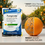 Carbendazim fungicide promotes healthy growth in citrus trees by preventing the spread of scab and other fungal diseases.