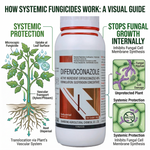 Difenoconazole 40% SC supporting healthy plant growth by controlling fungal infections in crops.