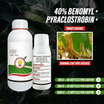 Difenoconazole and Pyraclostrobin combination improving crop health and boosting yield.