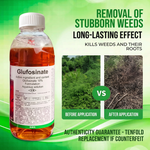 Aqueous herbicide solution with 10% Glufosinate for broad-spectrum, non-selective post-emergence weed management.