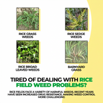Glyphosate herbicide concentrate providing long-lasting weed control for both agricultural and landscape needs.