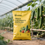 Water-Soluble Seaweed-Based Micronutrient Foliar Fertilizer Powder for Plant Growth