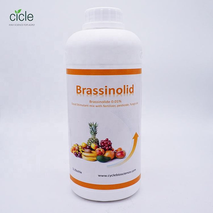 Brassinosteroids Plant Growth Regulator (Brassinolide) for Enhanced Plant Growth and Yield