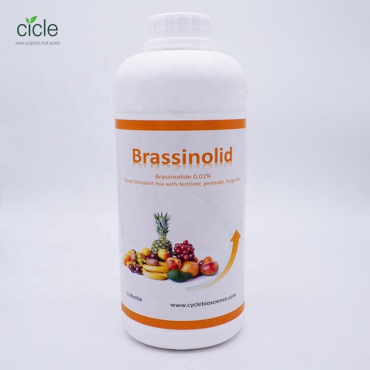 Brassinosteroids Plant Growth Regulator (Brassinolide) for Enhanced Plant Growth and Yield