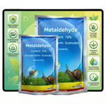 Healthy vegetable plants like tomatoes and lettuce protected from slug damage by Metaldehyde 10% G molluscicide.