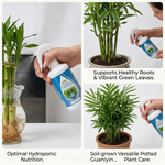 Premium Bamboo Fertilizer Solution, perfect for hydroponic and soil use, promoting lush growth for Lucky, Dragon, and Guanyin Bamboo.