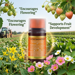 14-Hydroxybrassinosteroid plant growth regulator supporting crop health and balanced plant development.