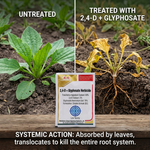 Suitable for use in citrus orchards and wastelands, offering targeted weed control without harming crops.