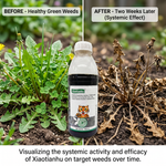 Perfect for controlling light to moderate weed growth without aggressive chemical impact on the environment.