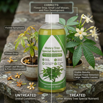 Perfect for money plants, peace lilies, spider plants, and other indoor decorative plants.