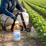 Absorbed through leaves and translocated to roots, ensuring complete elimination of weeds from the root system.