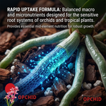 A perfect solution for all orchid varieties and other flowering plants requiring bloom support.