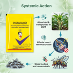 Imidacloprid 10% WP for Long-Lasting Pest Protection