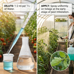 Effective combination insecticide for controlling rice planthoppers and scale insects, providing both systemic action and insect growth regulation