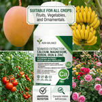 Enhances fruit quality and boosts crop yield by improving flower retention and supporting healthier fruit development