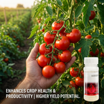 Minimizes pest damage and supports better plant growth, leading to improved yield quality and productivity.