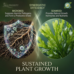 Improves nutrient absorption and enhances soil fertility, supporting healthier plant growth and increased crop yield.