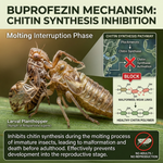 Buprofezin targets the developmental stages of pests, preventing molting and reproduction for long-term pest control.