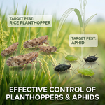 Ideal for integrated pest management, Buprofezin helps control pests without harming beneficial insects, ensuring sustainable farming.