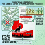 Fungicide supporting healthy rice growth by preventing and managing blast disease.