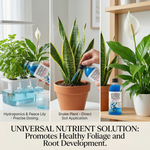 Demonstration of the correct dosage for hydroponic plants, ensuring efficient nutrient uptake with Liquid Plant Nutrient Solution.