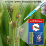 Protect your crops from planthoppers and scale insects with long-lasting residual protection and effective pest control