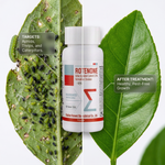 Provides both contact and systemic action, ensuring extended pest protection and healthier plants without harmful chemicals.