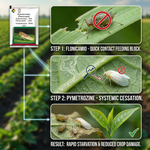 Provides long-lasting protection against pests, promoting healthier plants and improved yield.