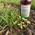 Reduces weed regrowth, helping ensure healthier crop establishment and higher yield potential.