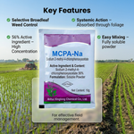 MCPA Sodium 56% herbicide, a potent solution for controlling broadleaf weeds in agricultural crops using 2-Methyl-4-Chlorophenoxyacetic Acid.