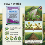 Herbicide solution providing effective control of broadleaf weeds in farming, formulated with MCPA Sodium 56% for easy application.