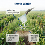 Soluble powder herbicide for effective elimination of broadleaf weeds during the post-emergence stage in crops.