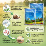Metaldehyde 10% G molluscicide packaging showcasing the high-strength formulation for slug and snail control in agricultural