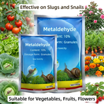 Spreading Metaldehyde 10% G granules on a lawn to control slugs and snails, ensuring a healthier, pest-free garden.