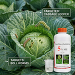 Lambda-Cyhalothrin's micro-emulsion (ME) formulation ensures enhanced stability, better coverage, and improved pest control performance.